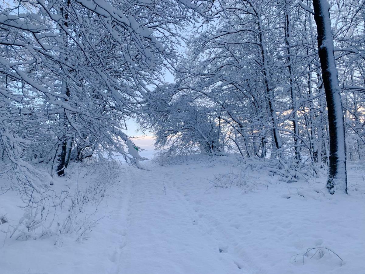 Ferienwohnung Inmitten Der Natur Mit Sauna Steinau an der Straße Εξωτερικό φωτογραφία